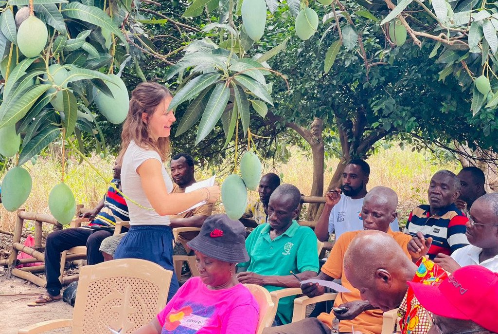 Ghana Fieldstudy