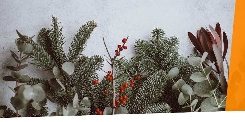 Weihnachtliche Tannen- und Eukalyptuszweige