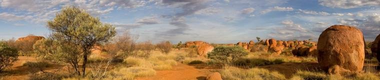 Steppe landscape