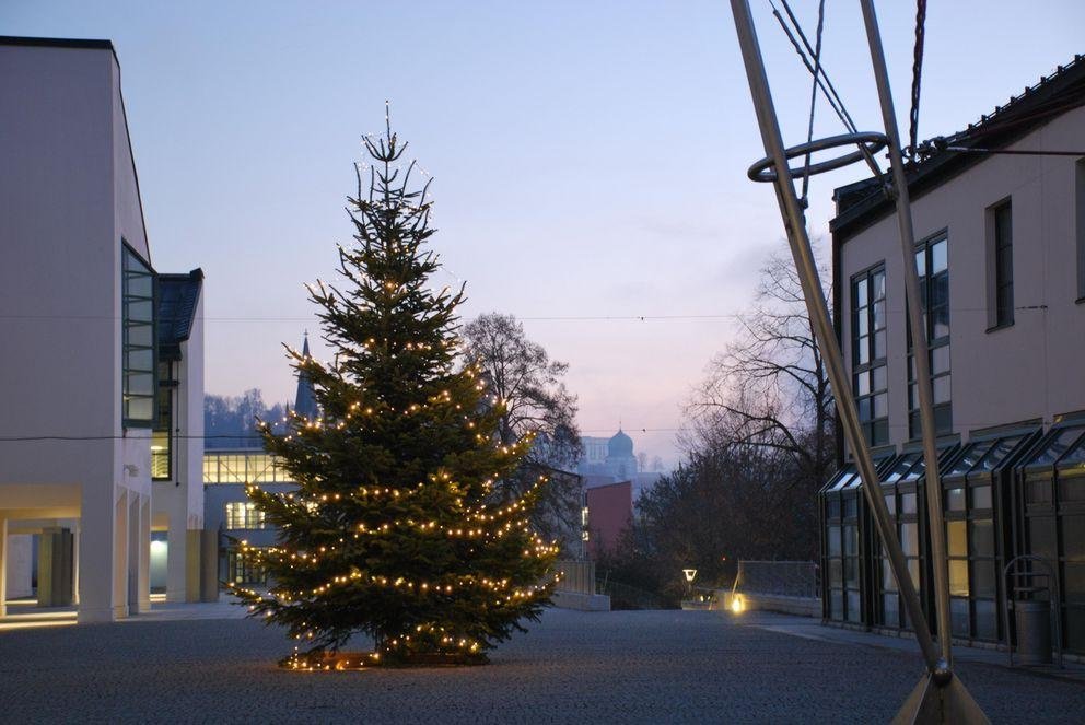 Christbaum Universität Passau