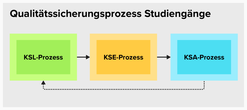 Eine grafische Darstellung des Qualitätssicherungsprozesses Studiengänge