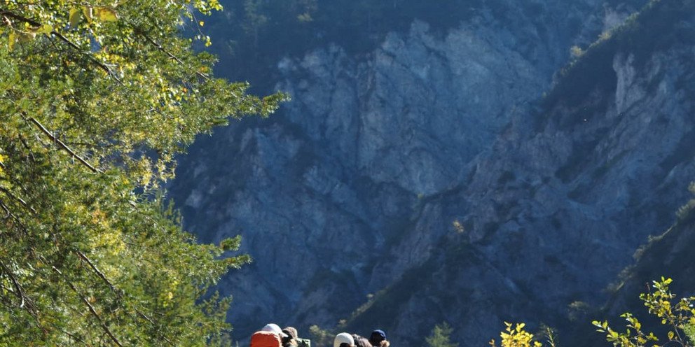 Students hiking through the trails and forests of National Park Ges&auml;use.