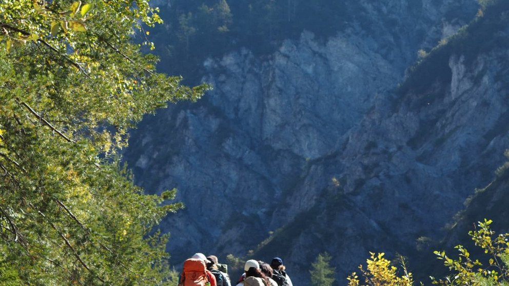 Students hiking through the trails and forests of National Park Ges&auml;use.