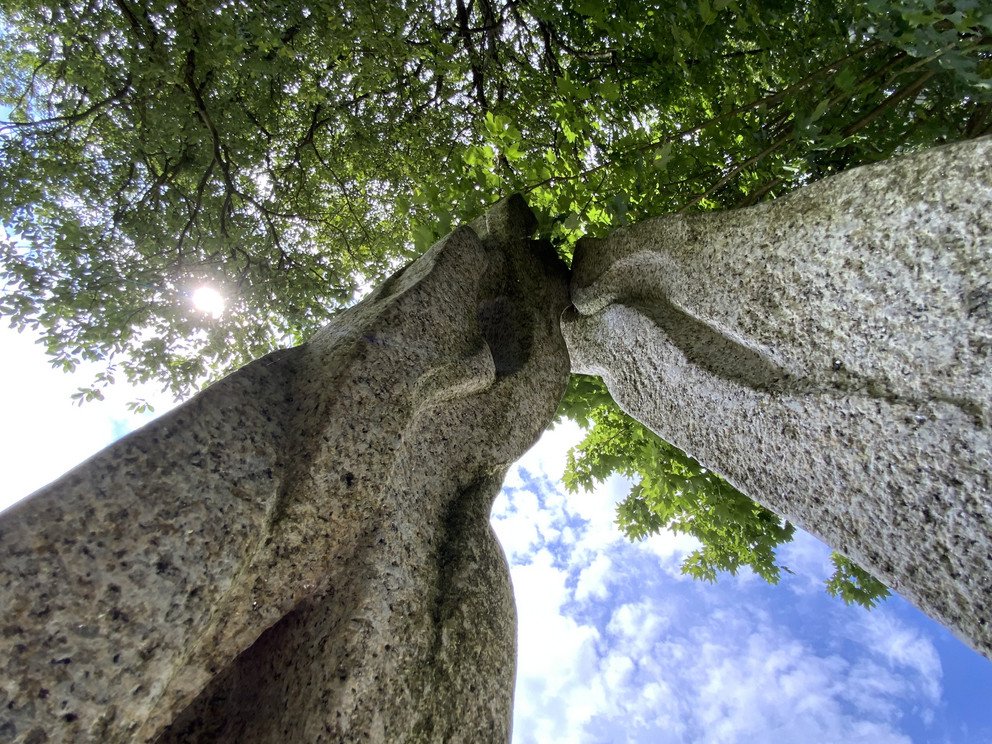 Neuhausen/Kr&aacute;sn&aacute; &ndash; Wiederfindung