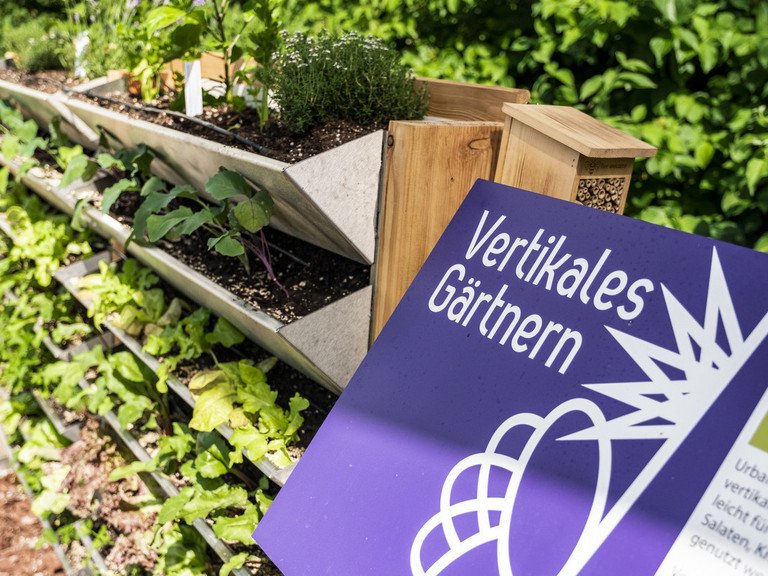 Urban Gardening Demogarten 