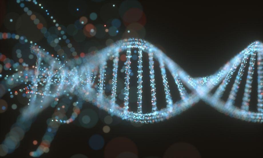 DNA Molecule Structure BMBF-Verbund NANoSoGT: Rechtliche und ethische Fragen der somatischen Gentherapie