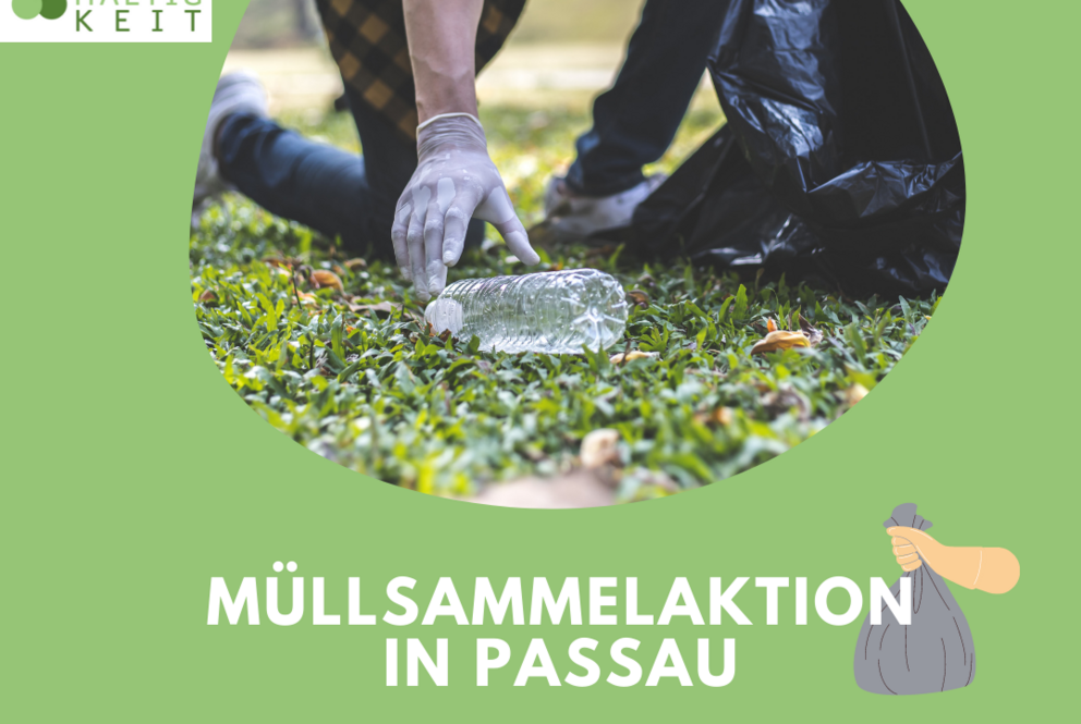 Plakat Müllsammelaktion