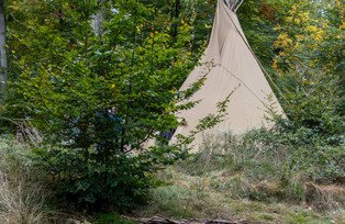 Blick auf das Tipi