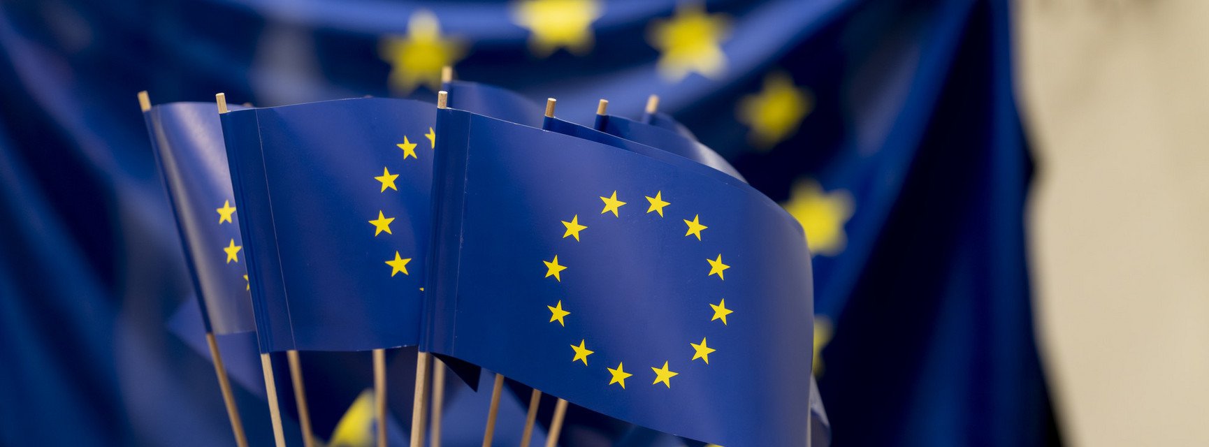 Dekoratives Bannerbild