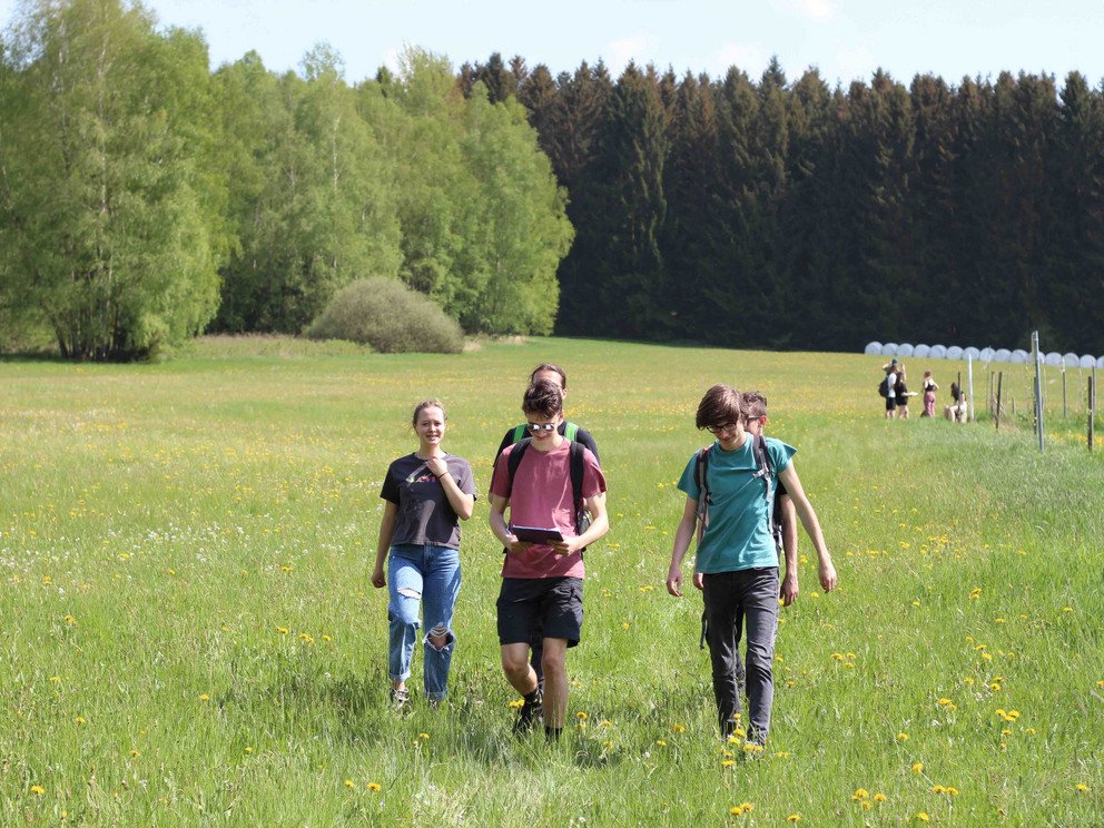 H&ouml;ll/L&iacute;skov&aacute;