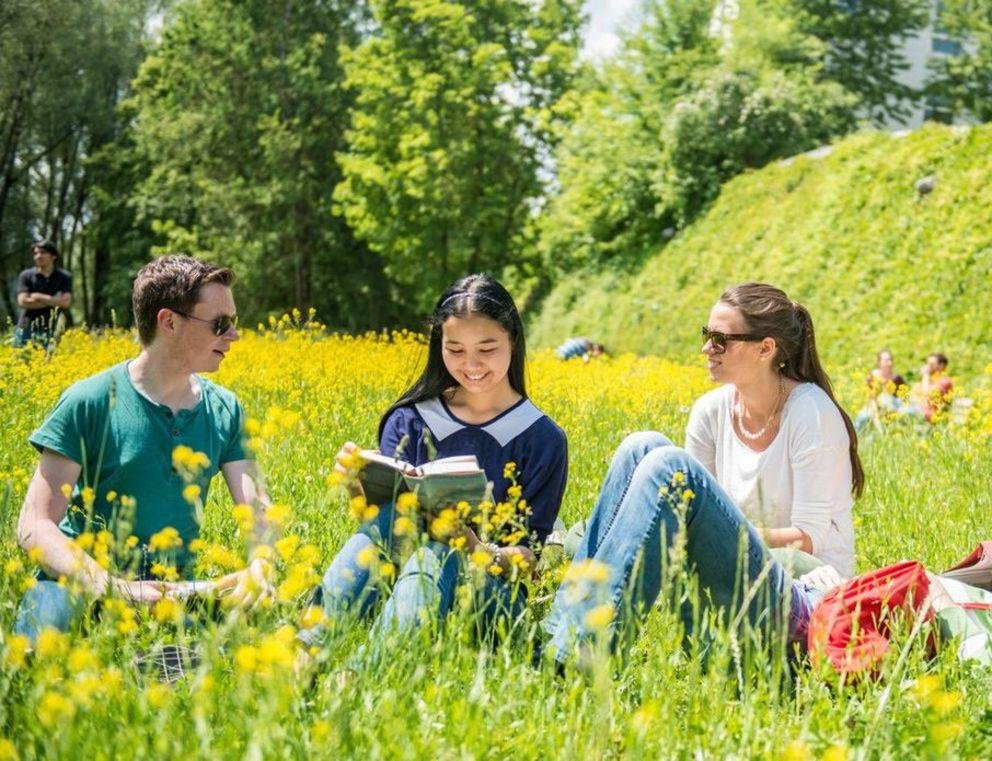 Picture: students socialising in a green space