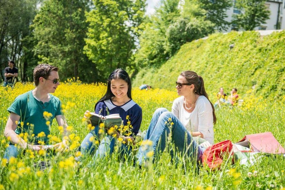 Studieren im Grünen