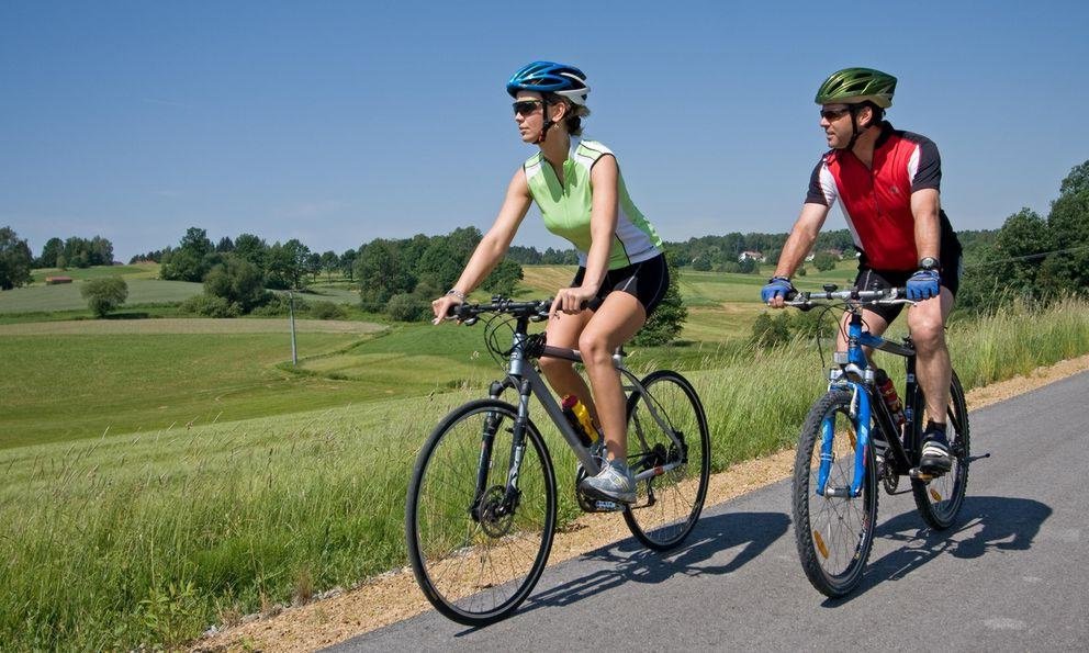 Bicycle tour