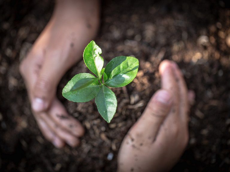 Veranstaltung „Klimaschutz global denken“ an der Universität Passau