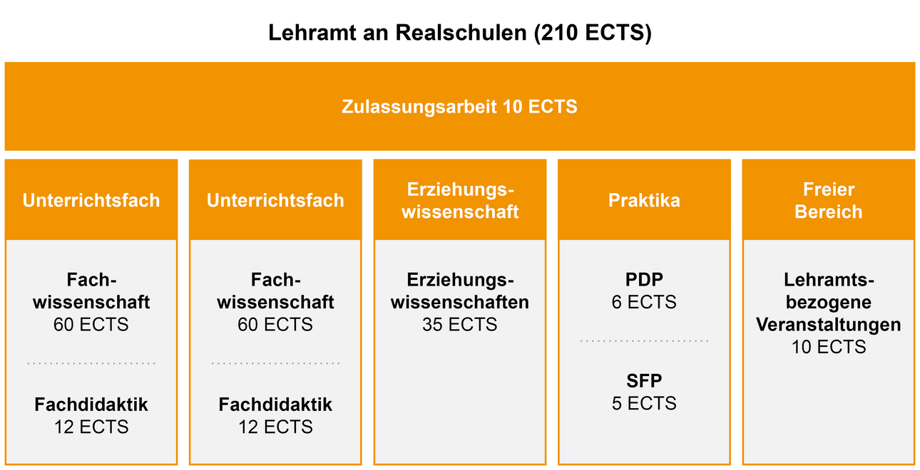 Aufbau Studiengang Lehramt an Realschulen