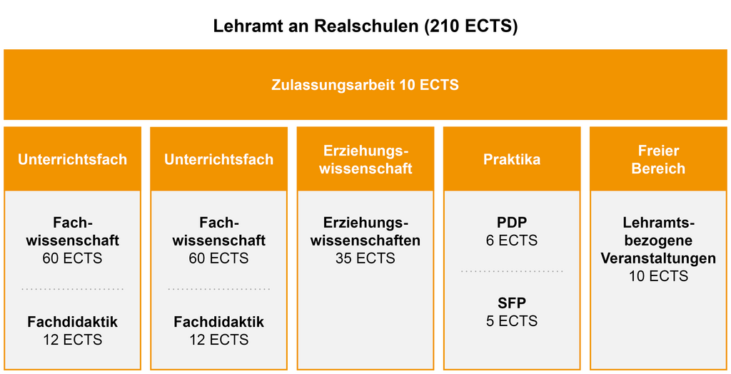 Aufbau Studiengang Lehramt an Realschulen