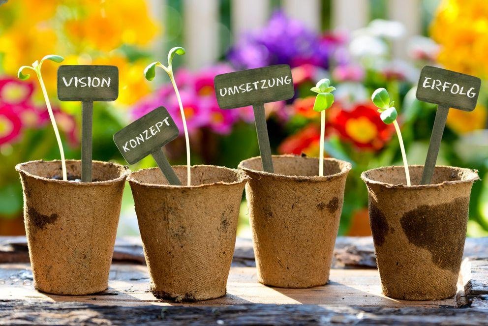 Vertiefungstufe - Blumentopf; Bildquelle: Fotolia