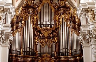The cathedral organ