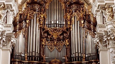 Domorgel