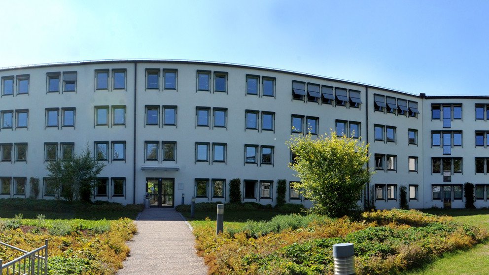 Dekoratives Bannerbild