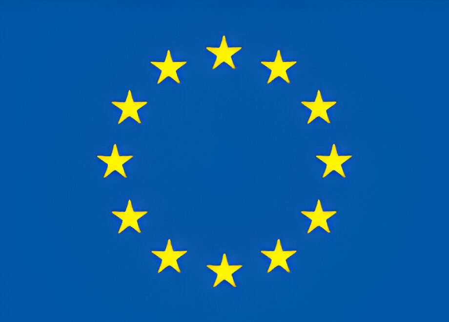 ERC Advanced Grant "ReConFort" - Europas Verfassung braucht Kommunikation