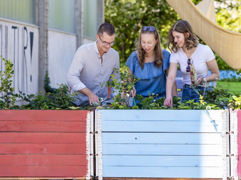 Studierende beim Urban Gardening am Campus der Universität Passau, Foto: Universität Passau