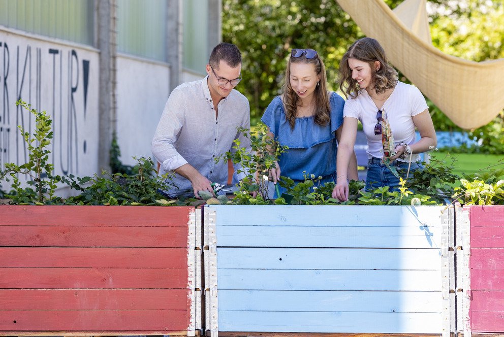 Studierende beim Urban Gardening am Campus der Universität Passau, Foto: Universität Passau