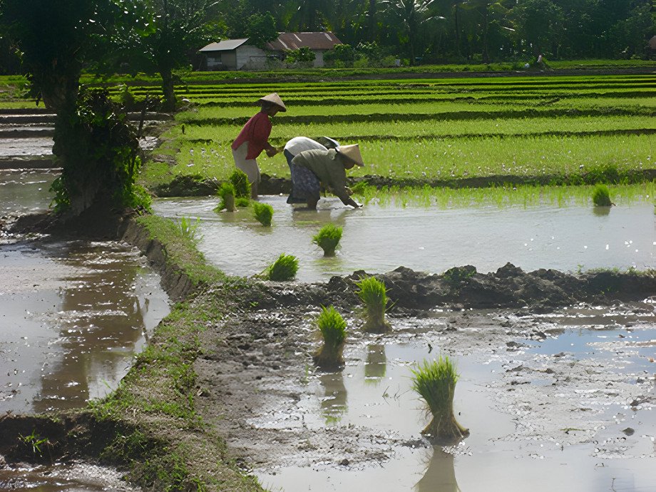 BMBF-Projekt IndORGANIC: Passauer Team bereitet grüne Transformation in Indonesien vor