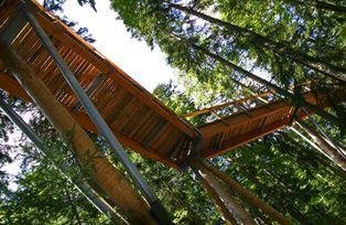 Neuschönau Treetop Path, Source: Tourismusverband Ostbayern e.V.