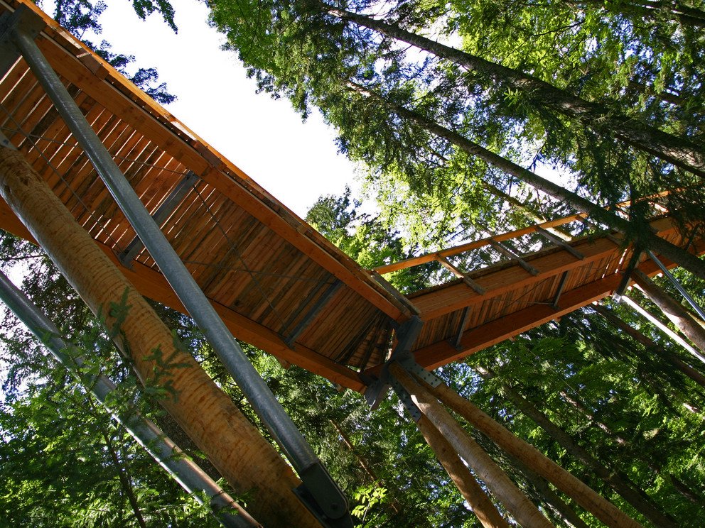 Neuschönau Baumwipfelpfad, Quelle Tourismusverband Ostbayern e.V.