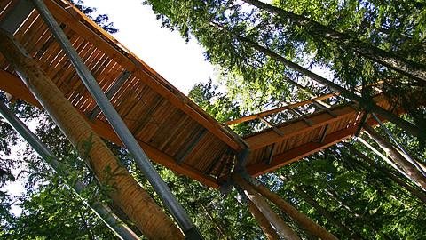 Neuschönau Baumwipfelpfad, Quelle Tourismusverband Ostbayern e.V.
