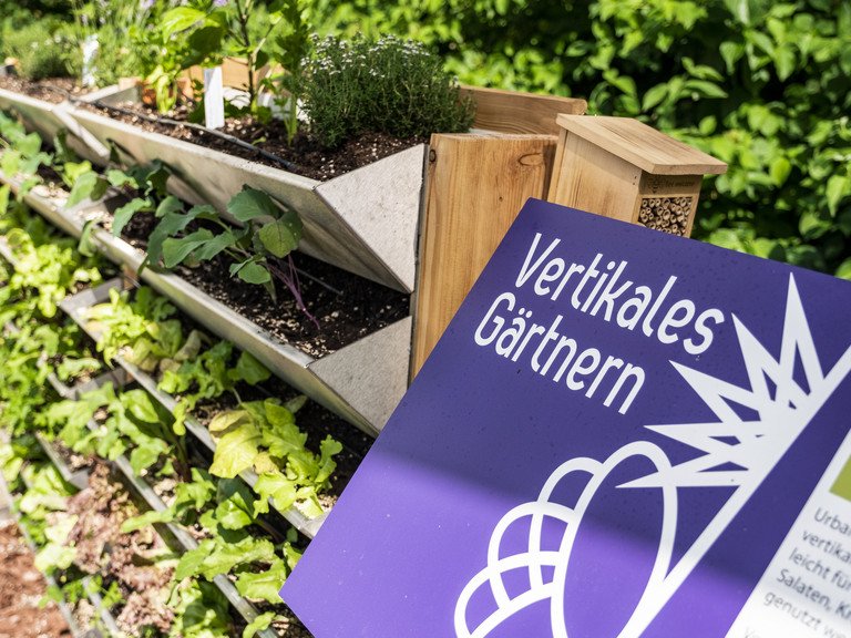 Urban Gardening an der Universität Passau, Foto: Universität Passau