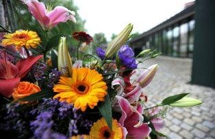 Flower decoration in front of the Audimax Building