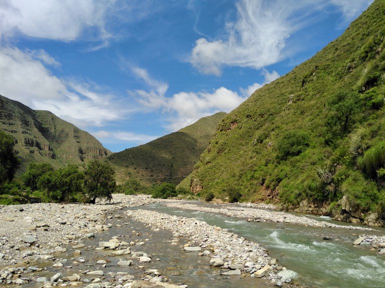Waldgebiet in Bolivien; Foto: Christine Schmitt