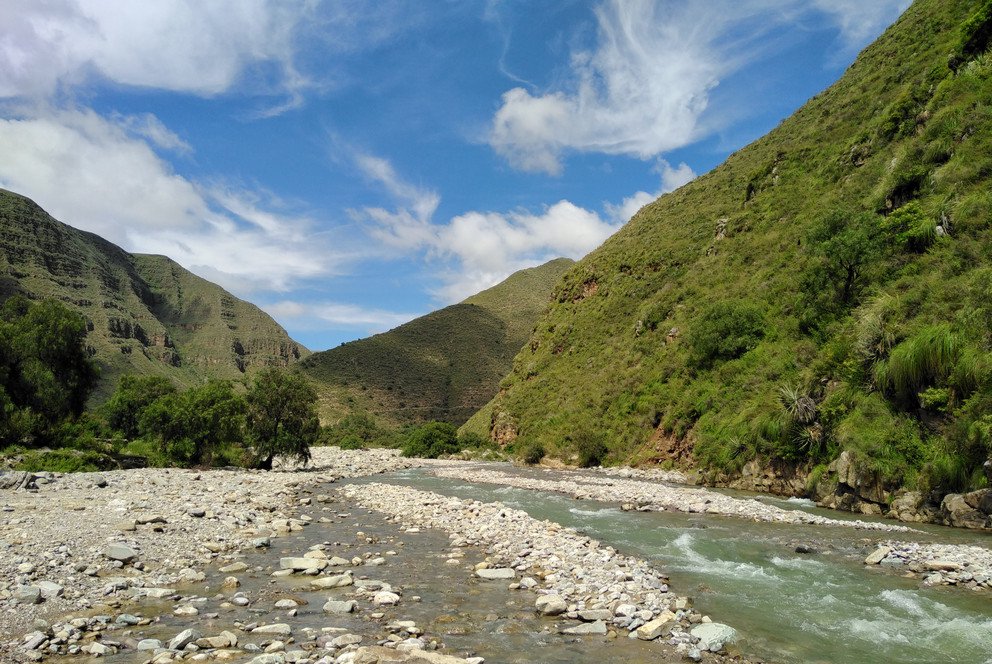 Waldgebiet in Bolivien; Foto: Christine Schmitt
