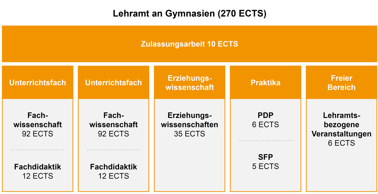 Aufbau des Studiengang Lehramt an Gymnasien