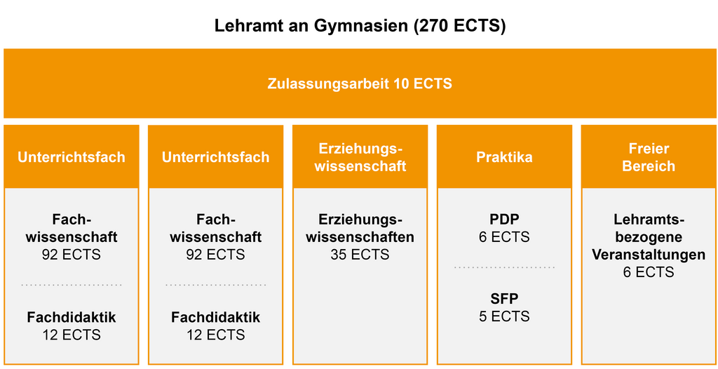 Aufbau des Studiengang Lehramt an Gymnasien