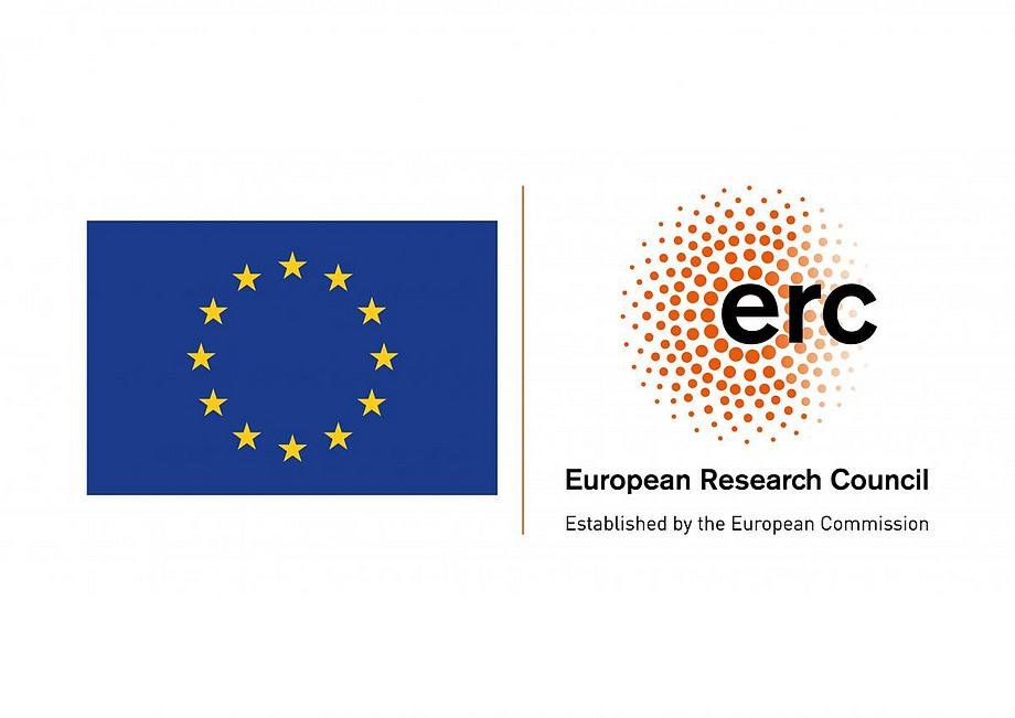 ERC Consolidator Grant RUSINFORM 2019 - 2024