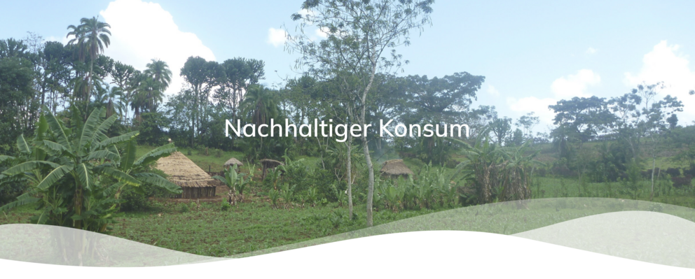 Screenshot der Webseite 