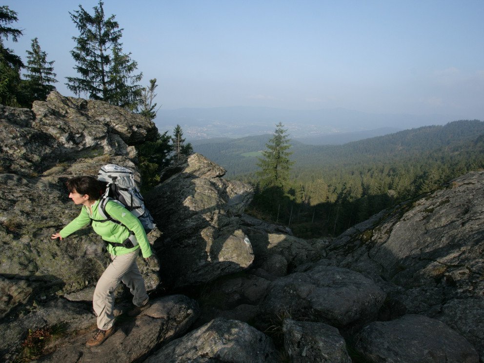 Hiking along the Goldsteig hiking route: Kaitersberg, Source: Tourismusverband Ostbayern e.V., Photo: Gerhard Eisenschink