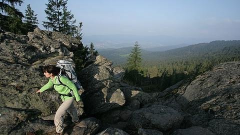 Goldsteig Am Kaitersberg, Quelle Tourismusverband Ostbayern e.V., Foto: Gerhard Eisenschink