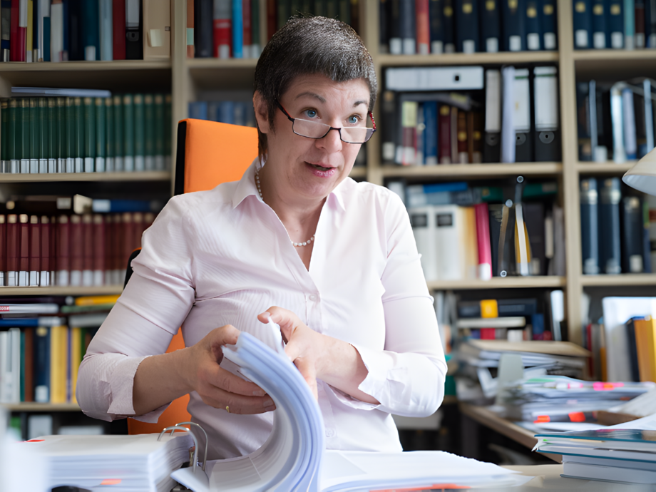 ERC Advanced Grant "ReConFort" - Europas Verfassung braucht Kommunikation