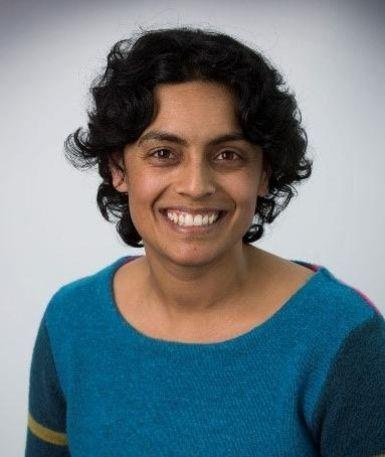 Portrait von Prof. Dr. Lata Narayanaswamy