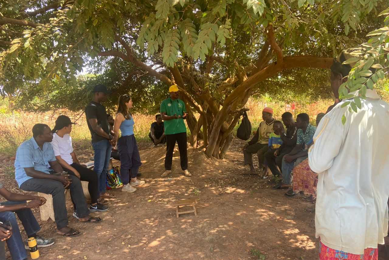 Feldforschung in Ghana