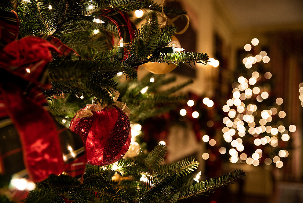 Das Bild zeigt einen weihnachtlich geschmückten Baum