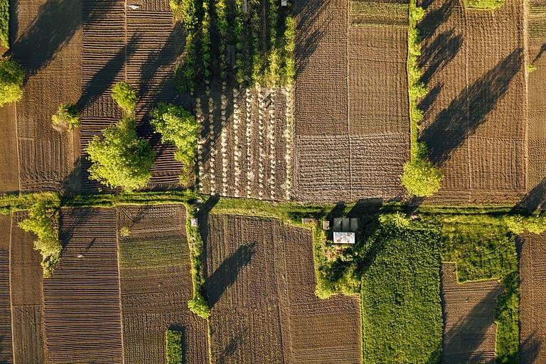 aerial view agriculture field summer day