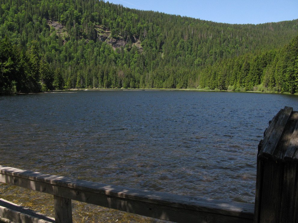 Großer Arber Lake, Source: Tourismusverband Ostbayern e.V., Photo: Michael Körner