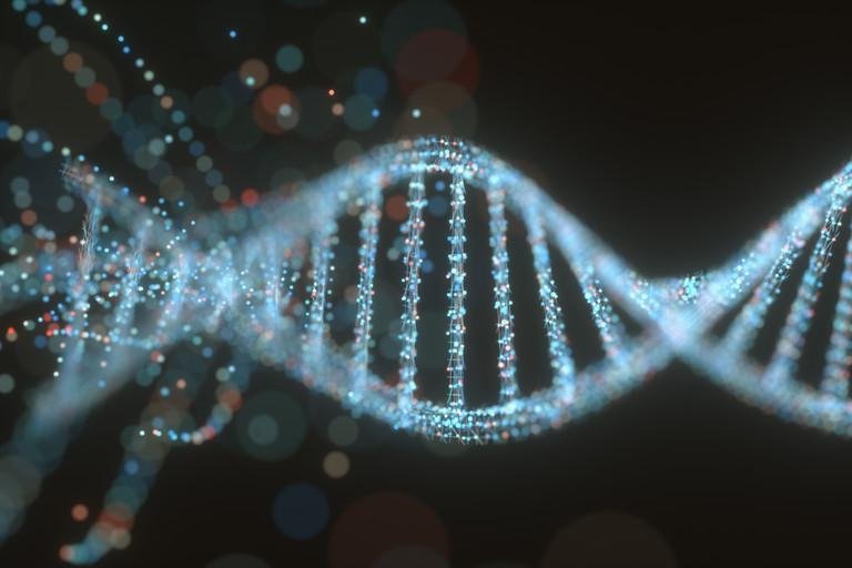 Research cluster on legal and ethical implications of somatic gene therapy