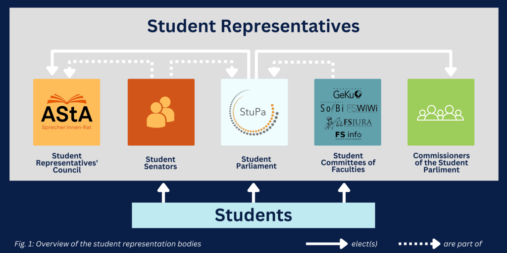 Overview of the student representative bodies