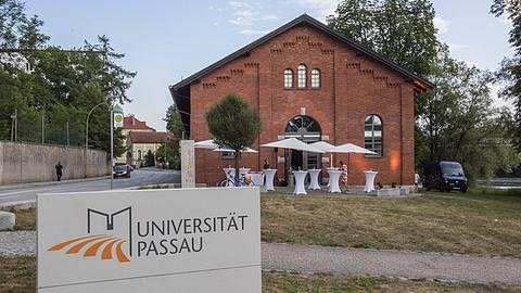 Innstegaula an der Innwiese